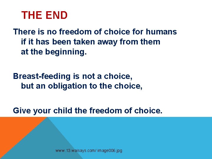 THE END There is no freedom of choice for humans if it has been THE END There is no freedom of choice for humans if it has been