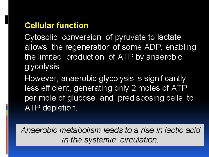 Cellular function Cytosolic conversion of pyruvate to lactate allows the regeneration of some ADP,