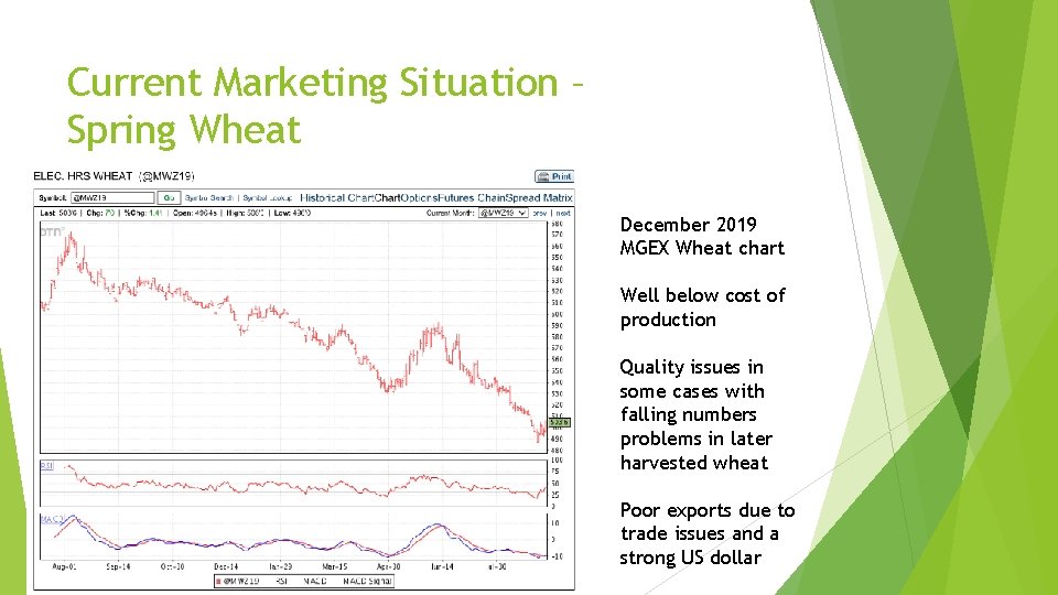 Current Marketing Situation – Spring Wheat December 2019 MGEX Wheat chart Well below cost