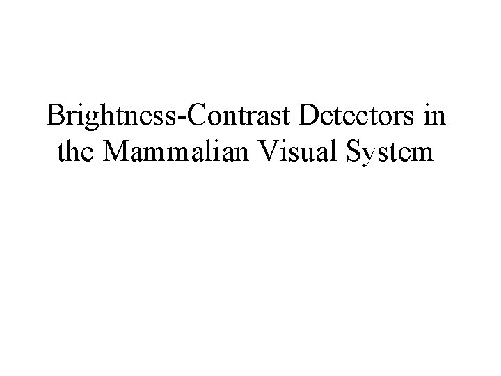 Brightness-Contrast Detectors in the Mammalian Visual System 