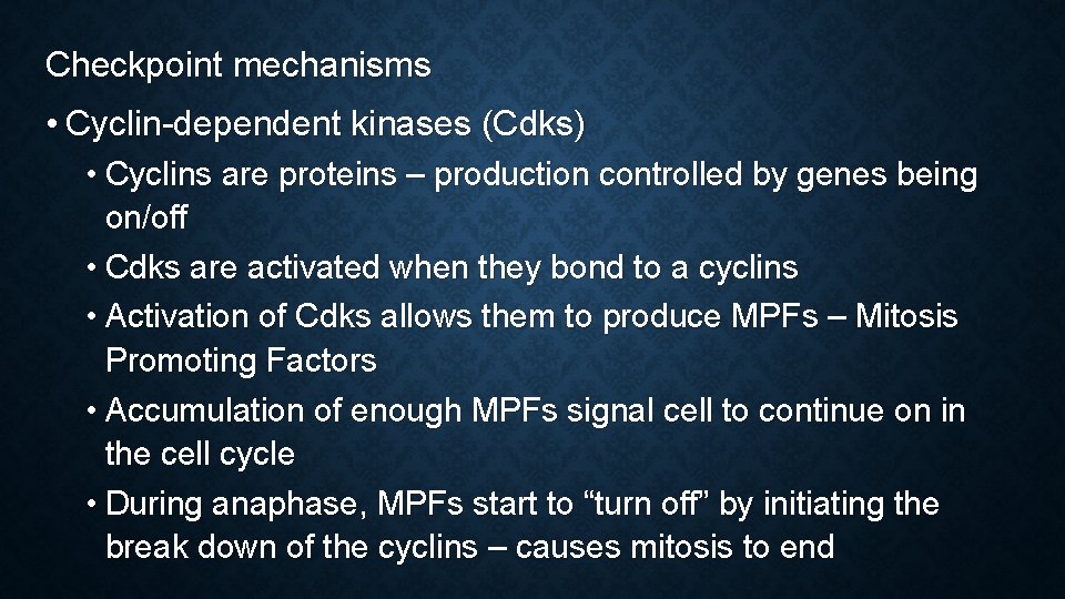 Checkpoint mechanisms • Cyclin-dependent kinases (Cdks) • Cyclins are proteins – production controlled by