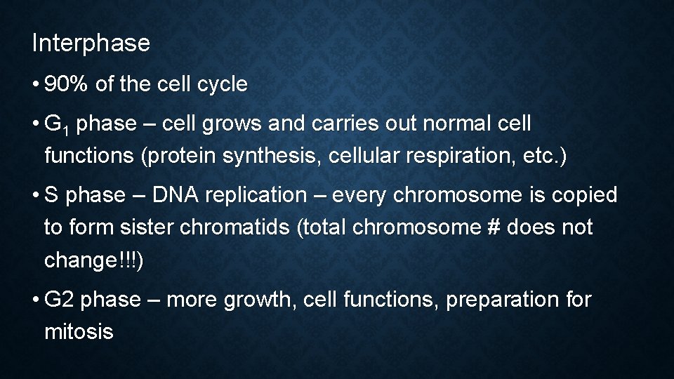 Interphase • 90% of the cell cycle • G 1 phase – cell grows Interphase • 90% of the cell cycle • G 1 phase – cell grows