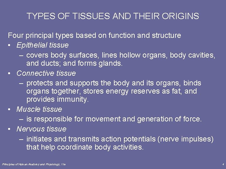 TYPES OF TISSUES AND THEIR ORIGINS Four principal types based on function and structure