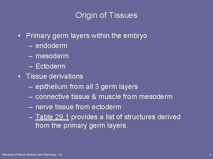 Origin of Tissues • Primary germ layers within the embryo – endoderm – mesoderm