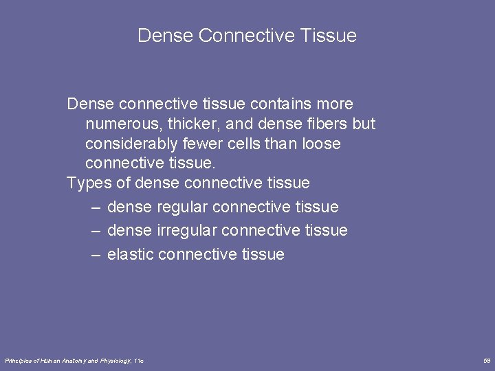 Dense Connective Tissue Dense connective tissue contains more numerous, thicker, and dense fibers but