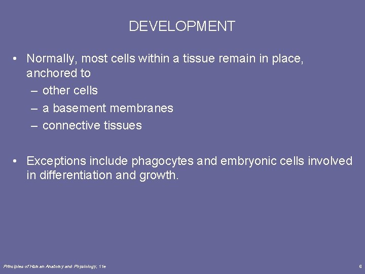 DEVELOPMENT • Normally, most cells within a tissue remain in place, anchored to –