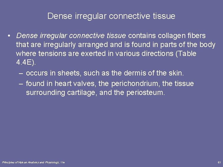 Dense irregular connective tissue • Dense irregular connective tissue contains collagen fibers that are