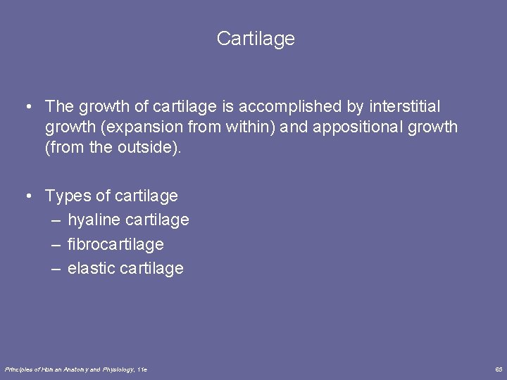 Cartilage • The growth of cartilage is accomplished by interstitial growth (expansion from within)