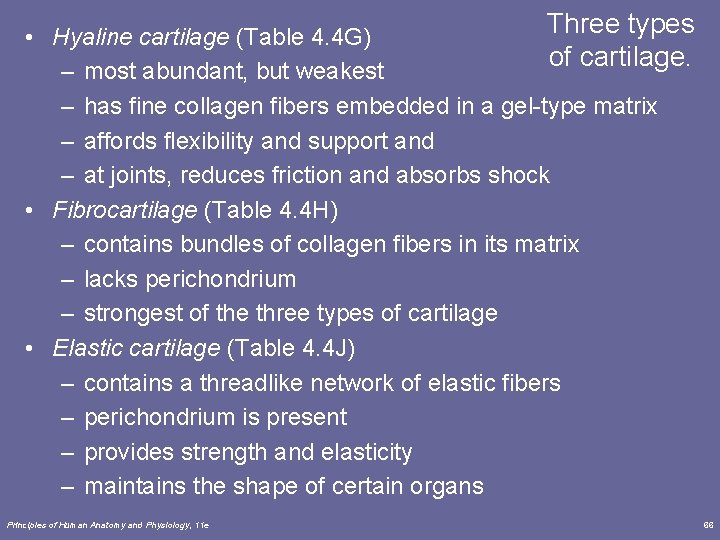 Three types • Hyaline cartilage (Table 4. 4 G) of cartilage. – most abundant,