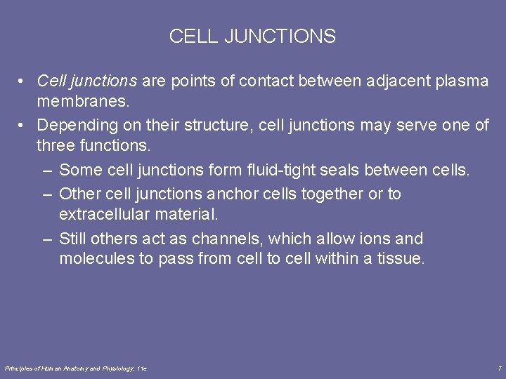 CELL JUNCTIONS • Cell junctions are points of contact between adjacent plasma membranes. •