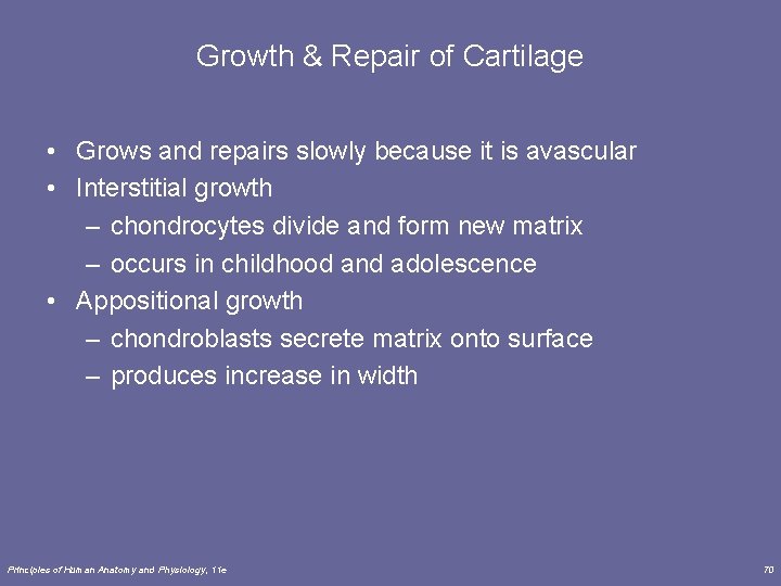 Growth & Repair of Cartilage • Grows and repairs slowly because it is avascular