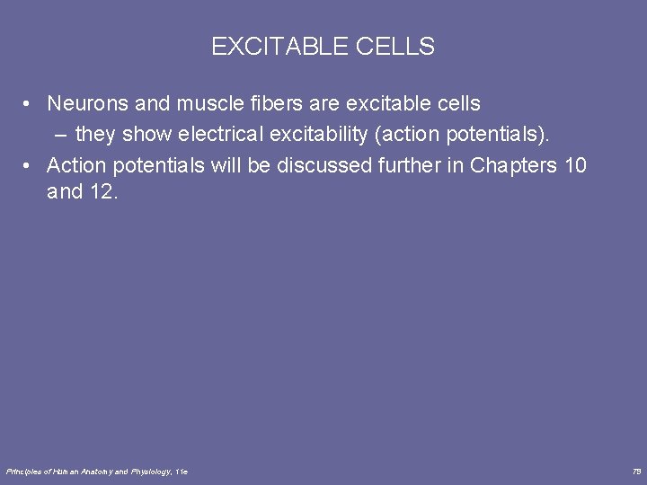 EXCITABLE CELLS • Neurons and muscle fibers are excitable cells – they show electrical