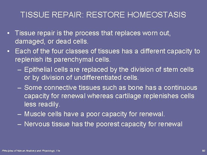 TISSUE REPAIR: RESTORE HOMEOSTASIS • Tissue repair is the process that replaces worn out,