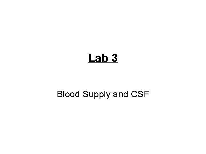 Lab 3 Blood Supply and CSF 