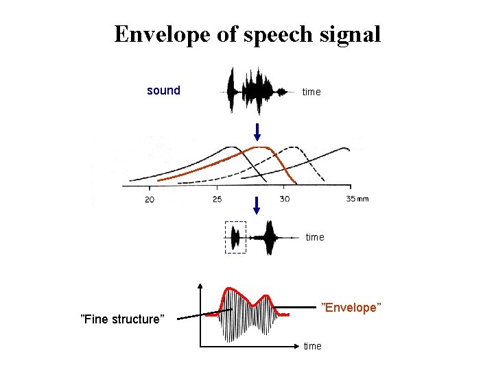 Envelope of speech signal sound time ”Fine structure” ”Envelope” time 