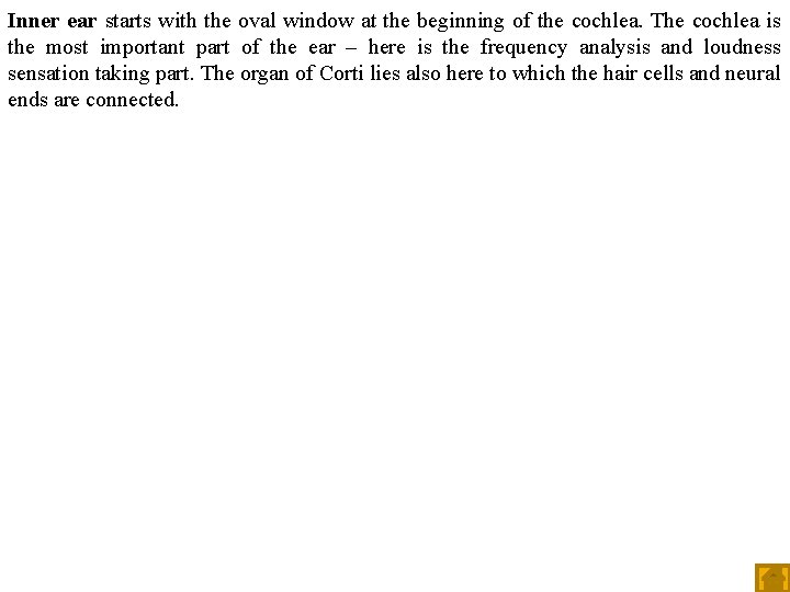 Inner ear starts with the oval window at the beginning of the cochlea. The