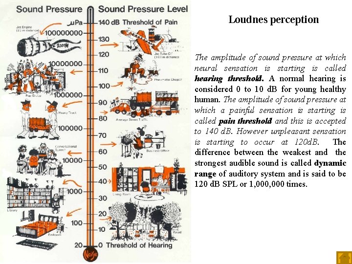 Loudnes perception The amplitude of sound pressure at which neural sensation is starting is