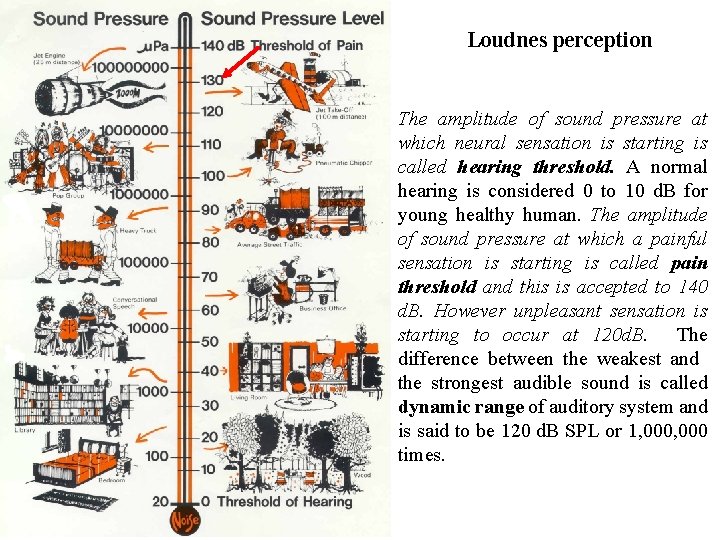 Loudnes perception The amplitude of sound pressure at which neural sensation is starting is