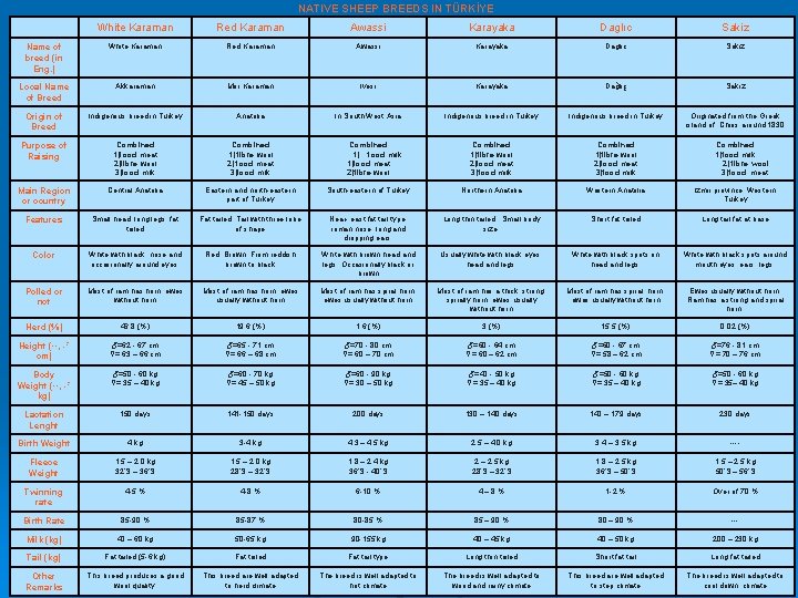 NATIVE SHEEP BREEDS IN TÜRKİYE White Karaman Red Karaman Awassi Karayaka Daglıc Sakiz Name