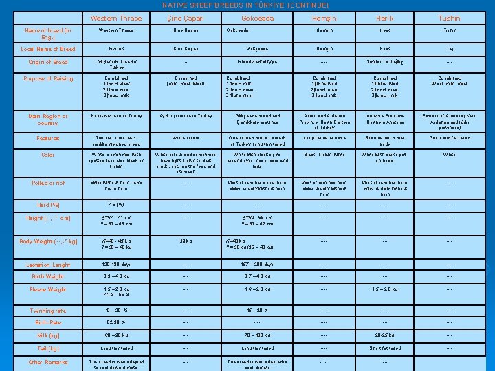 NATIVE SHEEP BREEDS IN TÜRKİYE (CONTINUE) Western Thrace Çine Çapari Name of breed (in