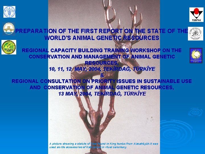 PREPARATION OF THE FIRST REPORT ON THE STATE OF THE WORLD'S ANIMAL GENETIC RESOURCES