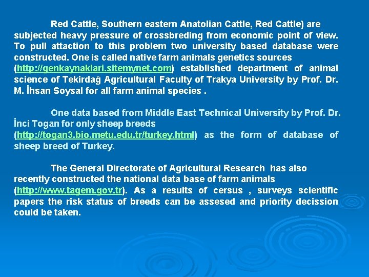 Red Cattle, Southern eastern Anatolian Cattle, Red Cattle) are subjected heavy pressure of crossbreding