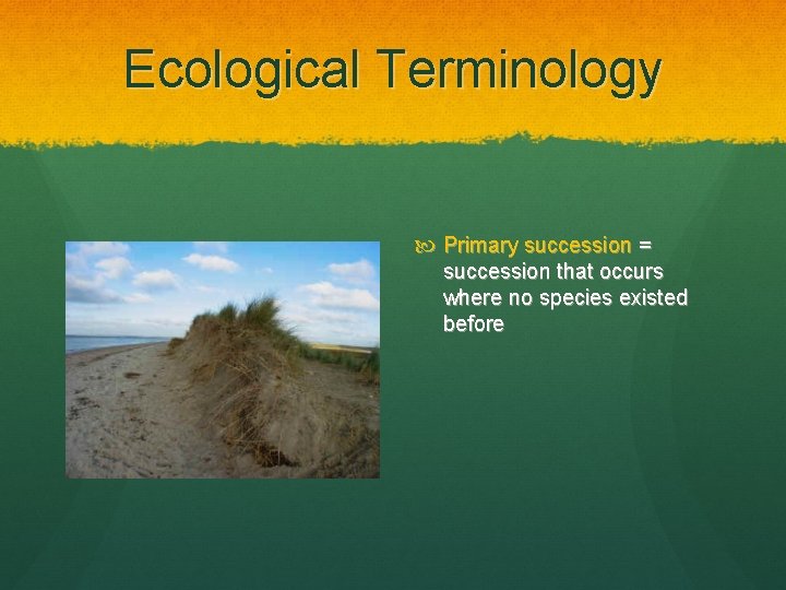 Ecological Terminology Primary succession = succession that occurs where no species existed before 