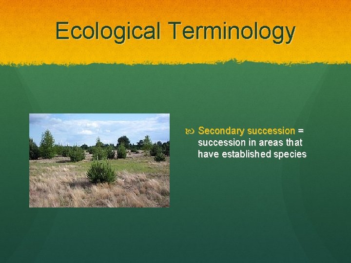 Ecological Terminology Secondary succession = succession in areas that have established species 