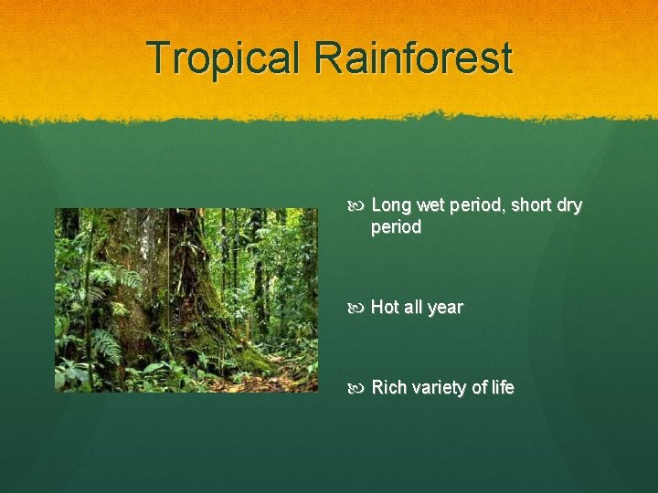 Tropical Rainforest Long wet period, short dry period Hot all year Rich variety of