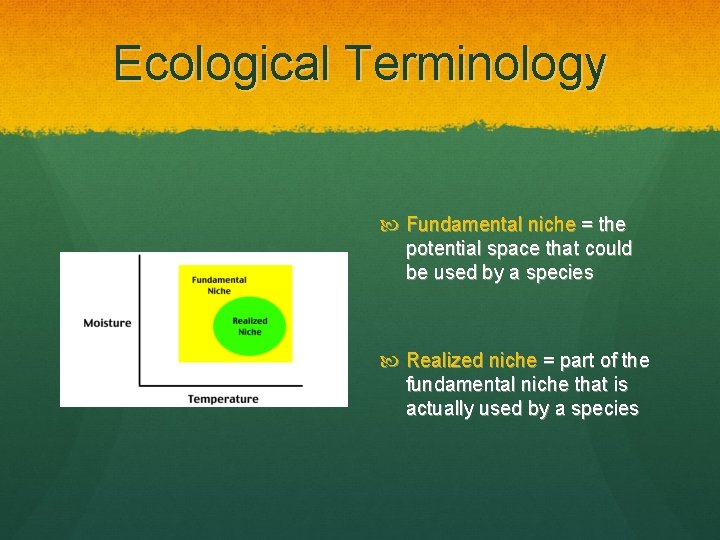 Ecological Terminology Fundamental niche = the potential space that could be used by a