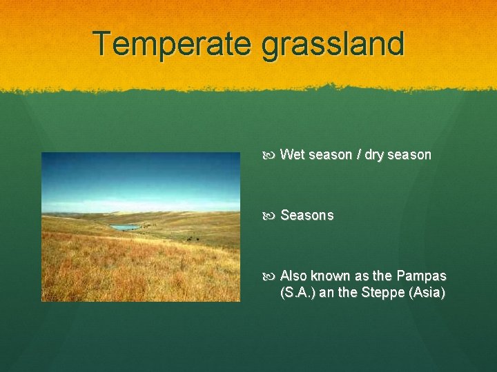 Temperate grassland Wet season / dry season Seasons Also known as the Pampas (S.