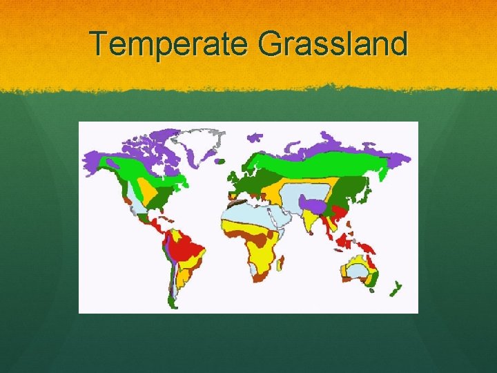 Temperate Grassland 