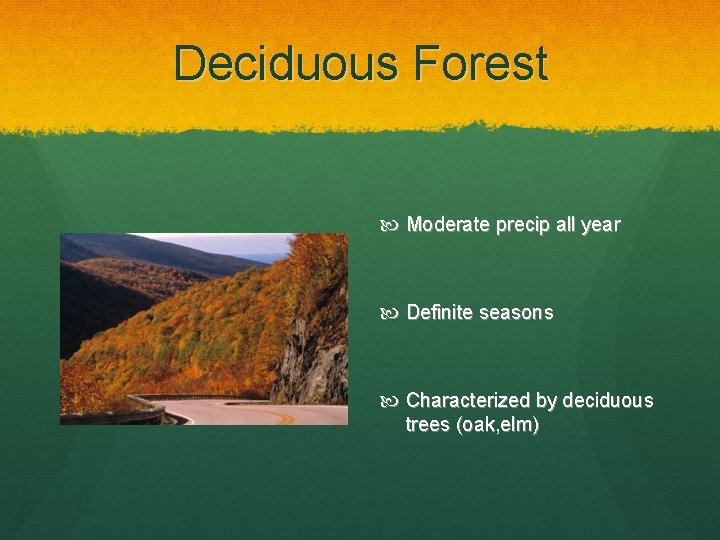 Deciduous Forest Moderate precip all year Definite seasons Characterized by deciduous trees (oak, elm)