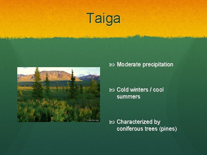 Taiga Moderate precipitation Cold winters / cool summers Characterized by coniferous trees (pines) 