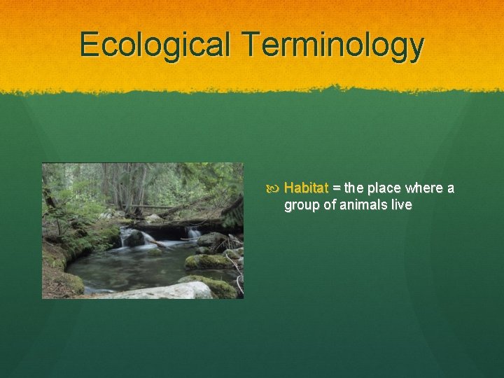 Ecological Terminology Habitat = the place where a group of animals live 