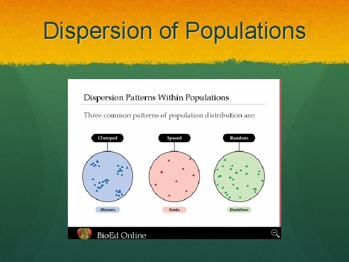 Dispersion of Populations 