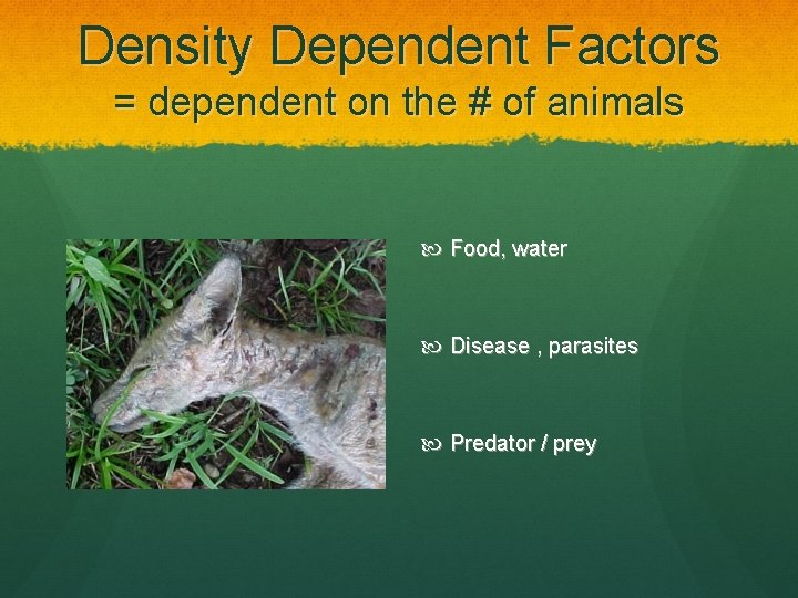 Density Dependent Factors = dependent on the # of animals Food, water Disease ,