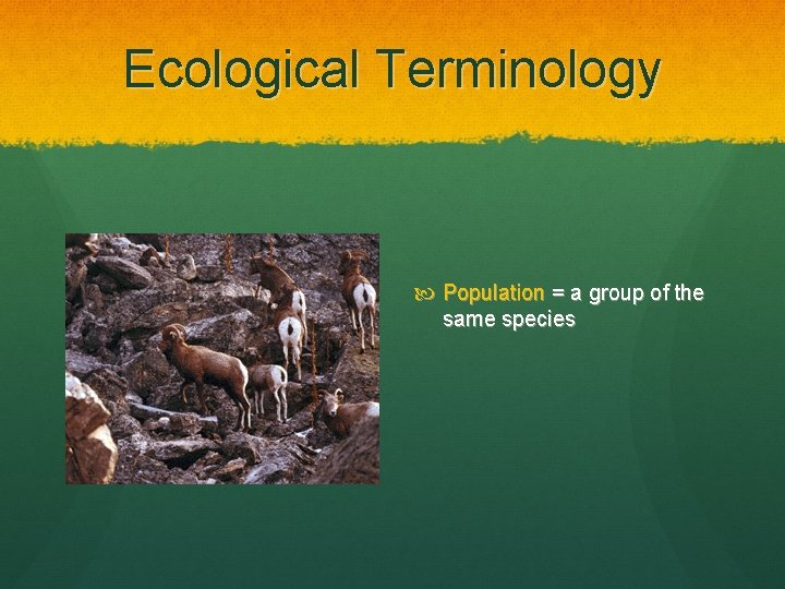 Ecological Terminology Population = a group of the same species 