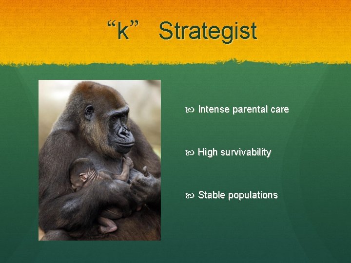 “k” Strategist Intense parental care High survivability Stable populations 