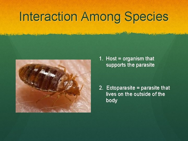 Interaction Among Species 1. Host = organism that supports the parasite 2. Ectoparasite =