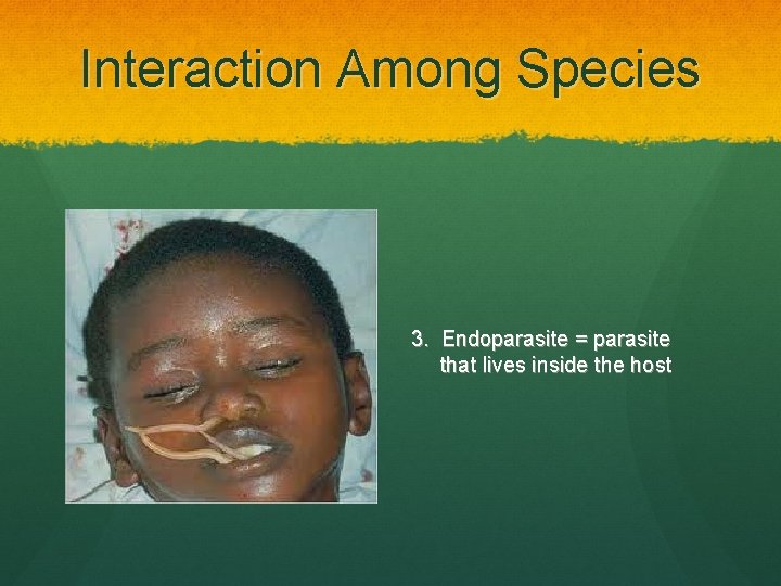 Interaction Among Species 3. Endoparasite = parasite that lives inside the host 