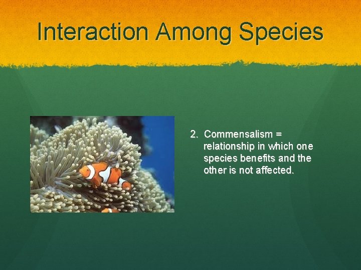 Interaction Among Species 2. Commensalism = relationship in which one species benefits and the