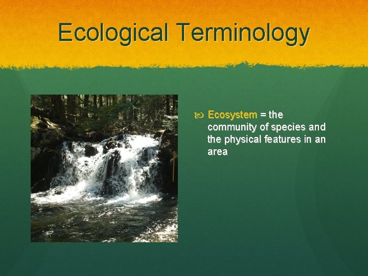 Ecological Terminology Ecosystem = the community of species and the physical features in an