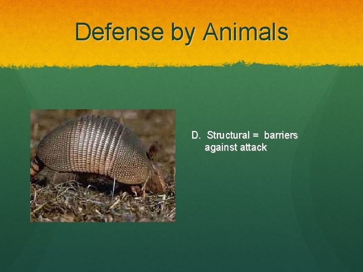 Defense by Animals D. Structural = barriers against attack 