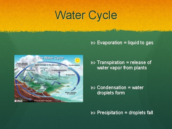 Water Cycle Evaporation = liquid to gas Transpiration = release of water vapor from