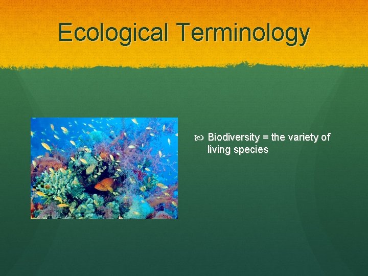 Ecological Terminology Biodiversity = the variety of living species 