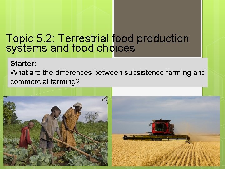 Topic 5. 2: Terrestrial food production systems and food choices Starter: What are the