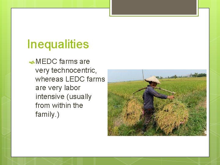 Inequalities MEDC farms are very technocentric, whereas LEDC farms are very labor intensive (usually