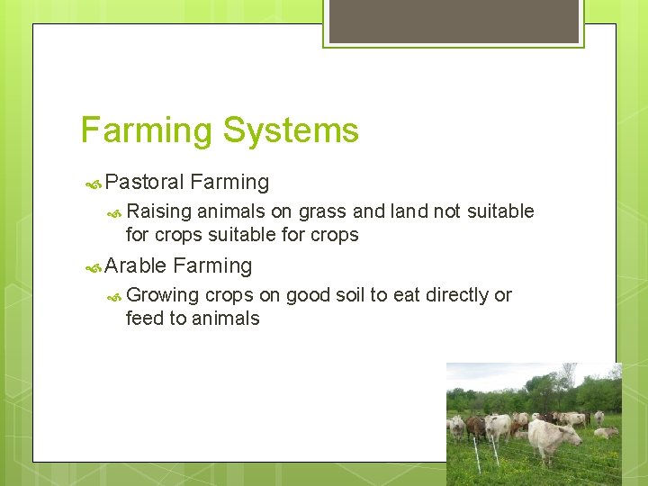 Farming Systems Pastoral Farming Raising animals on grass and land not suitable for crops