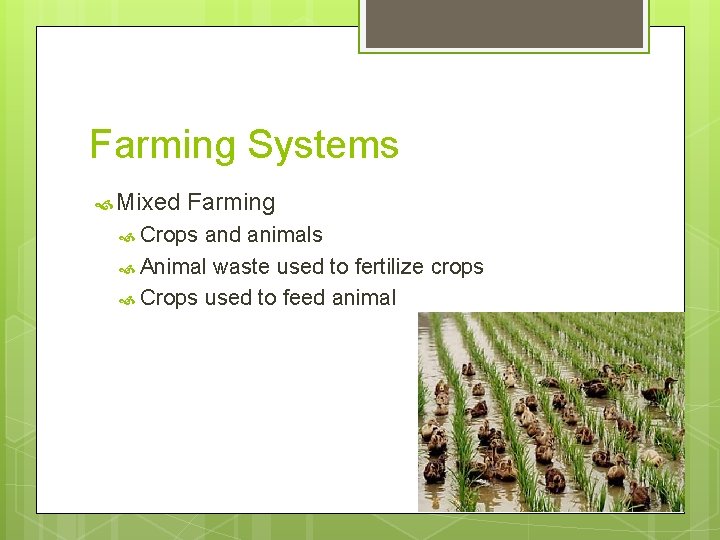 Farming Systems Mixed Farming Crops and animals Animal waste used to fertilize crops Crops